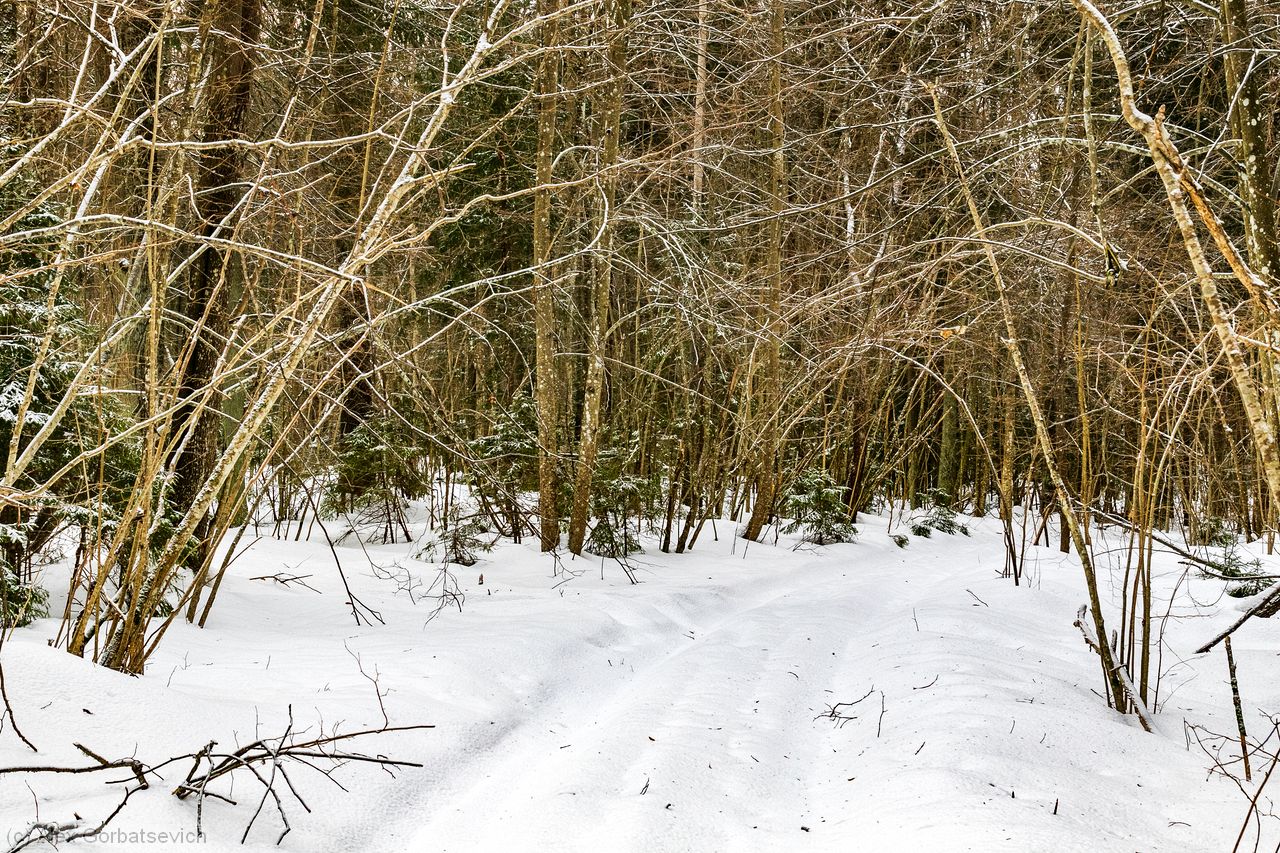 ������� ������