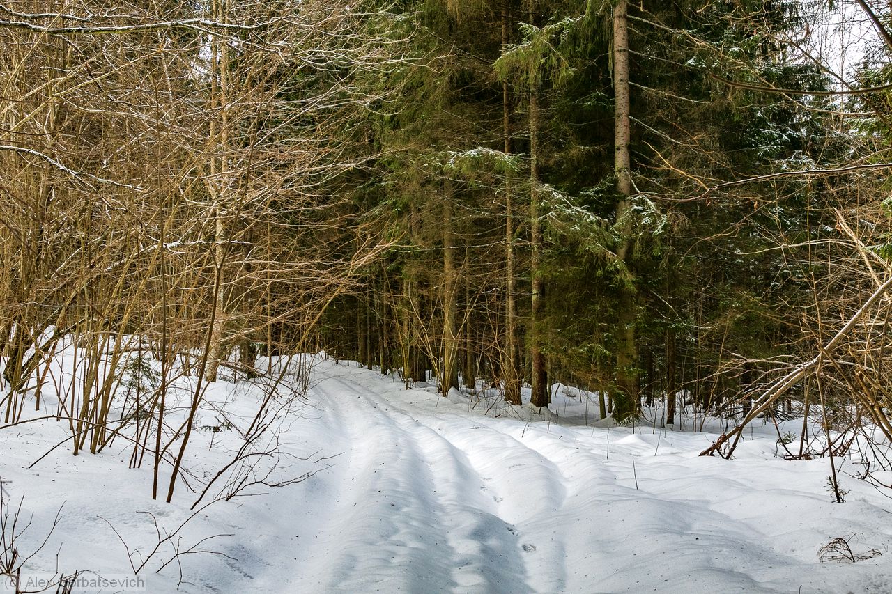 ������� ������