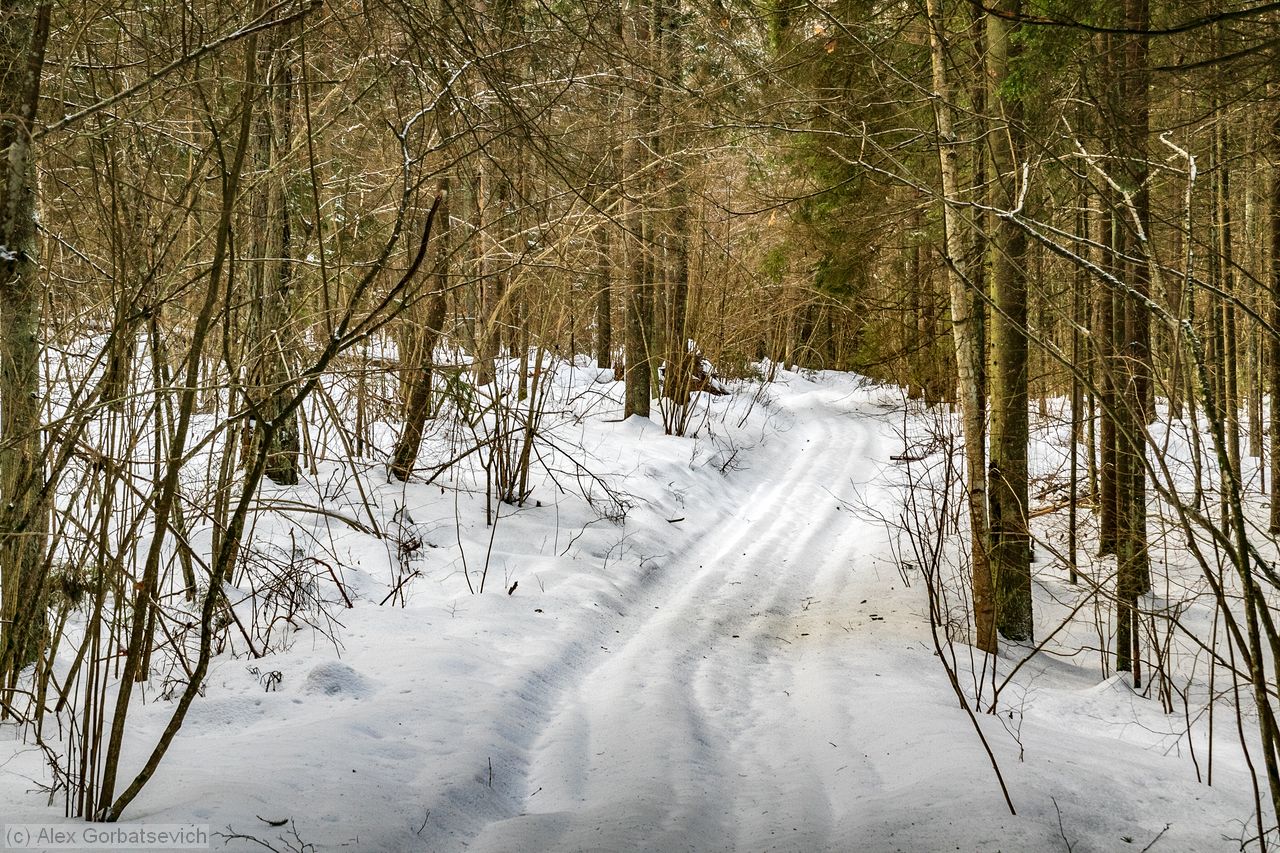 ������� ������