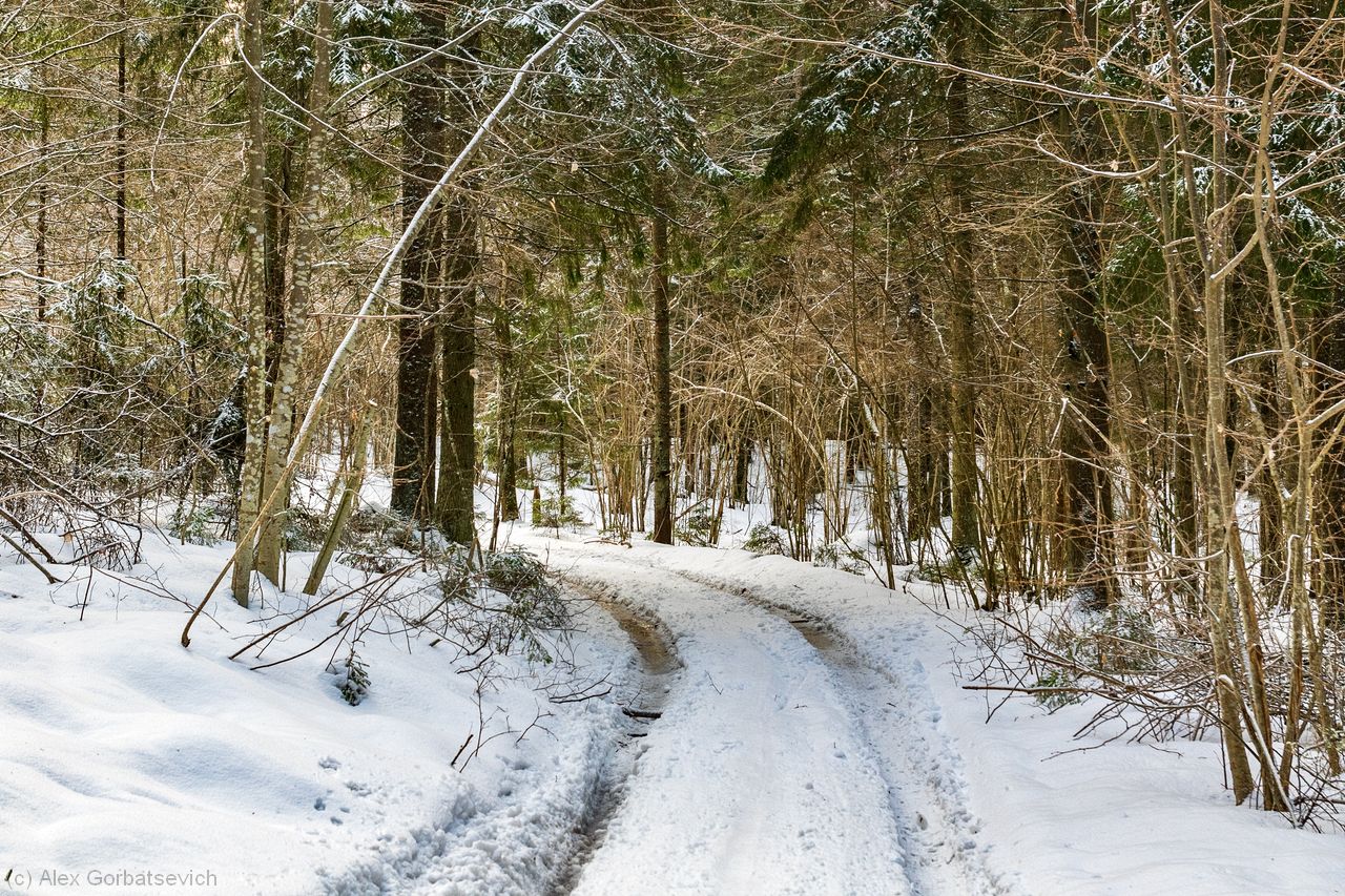 ������� ������