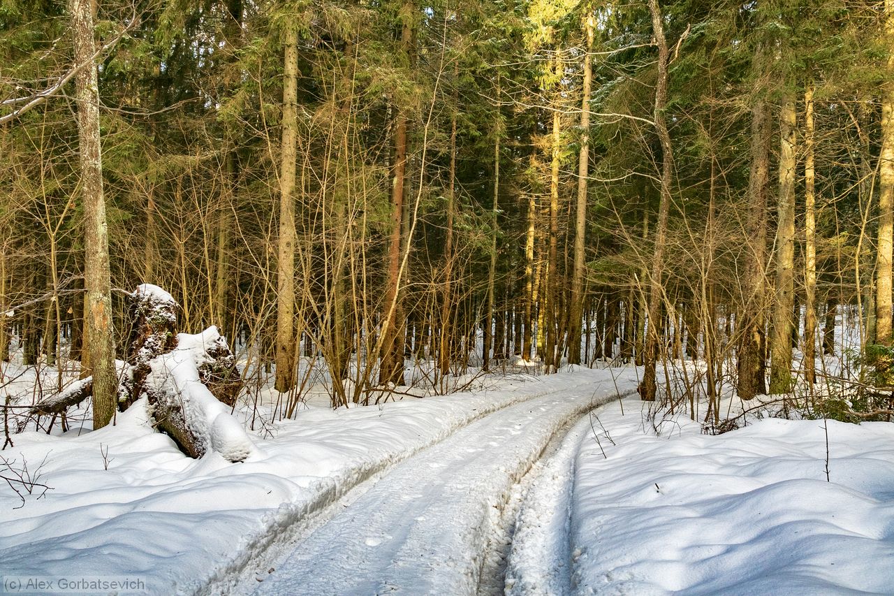 ������� ������