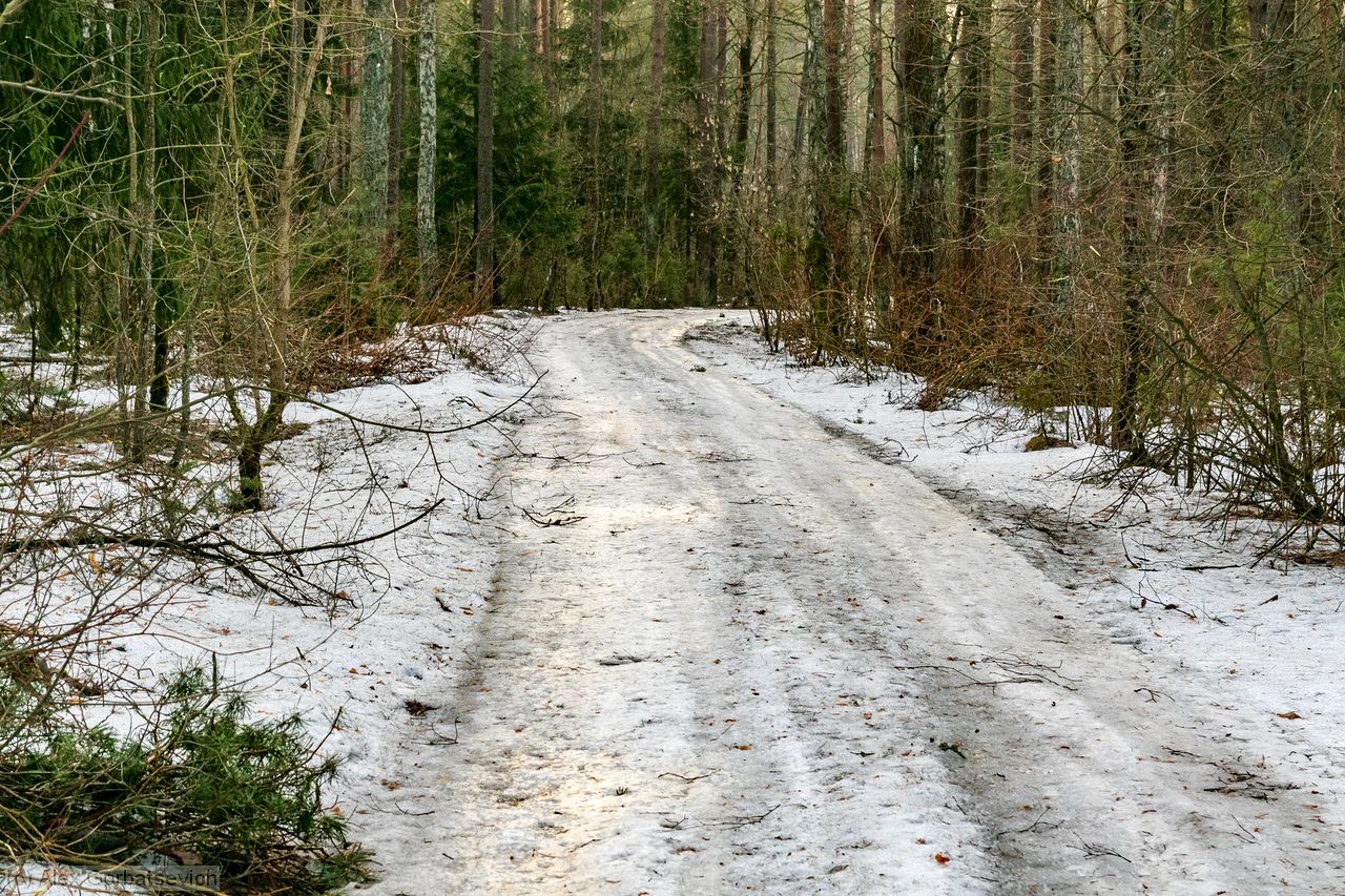 ����� ���. � ���� ����� ���.