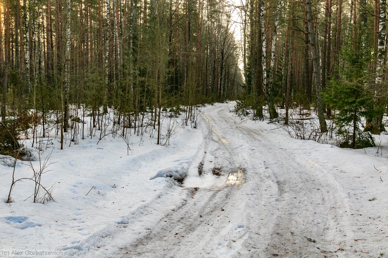 ��������� �������