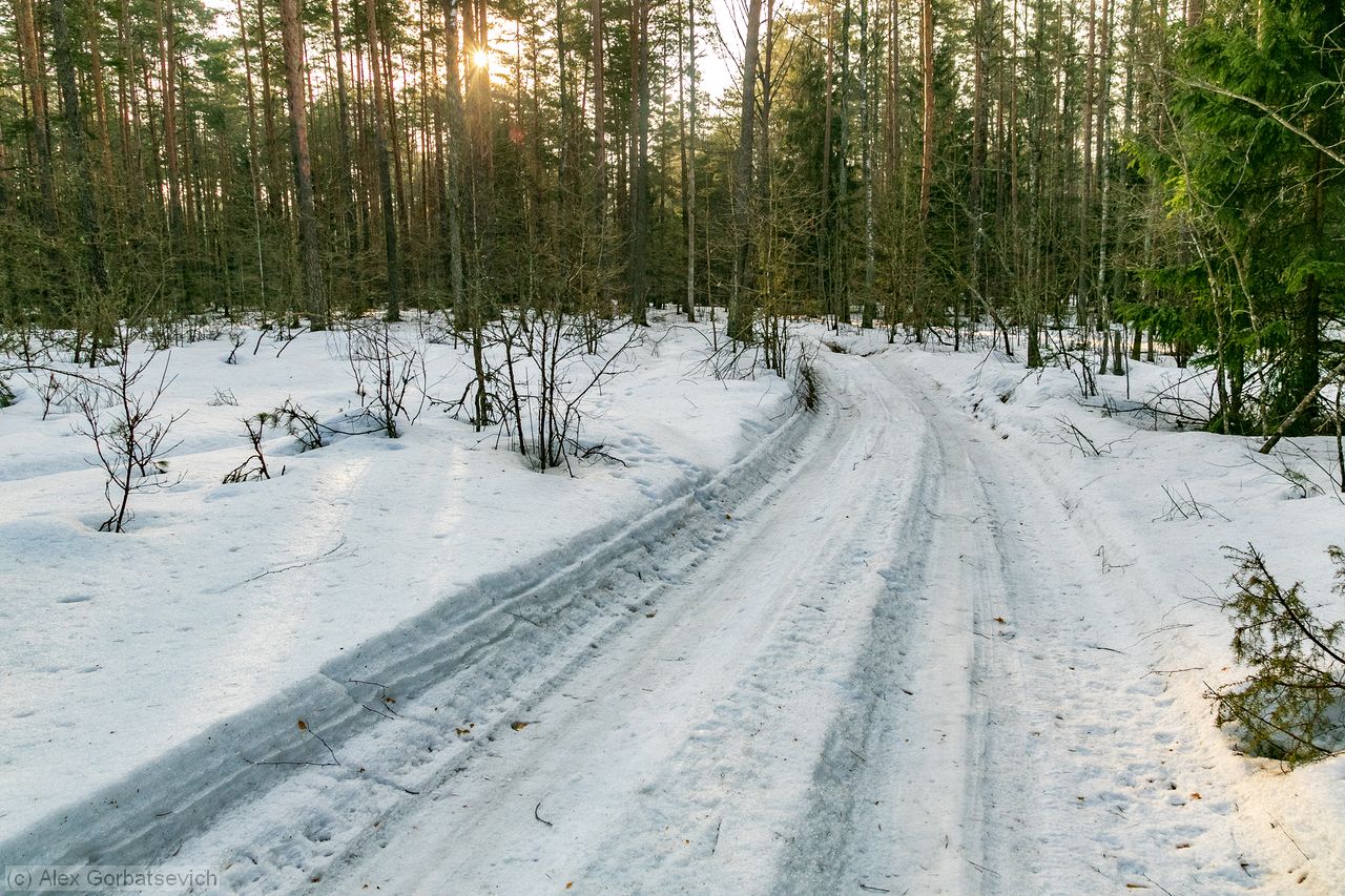 �� ���������� ����