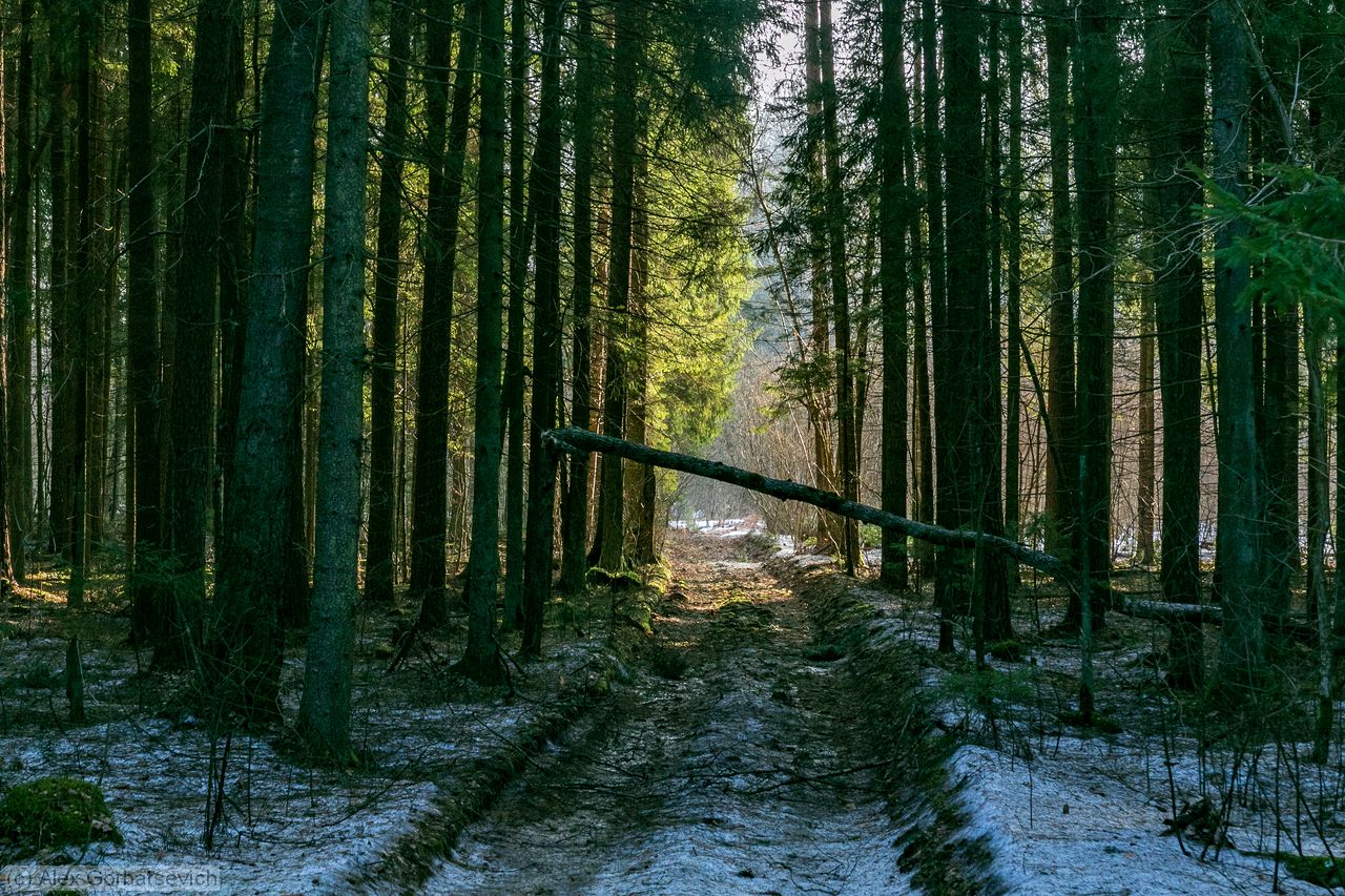 �������