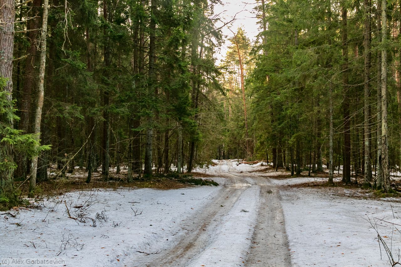 � ��� ������