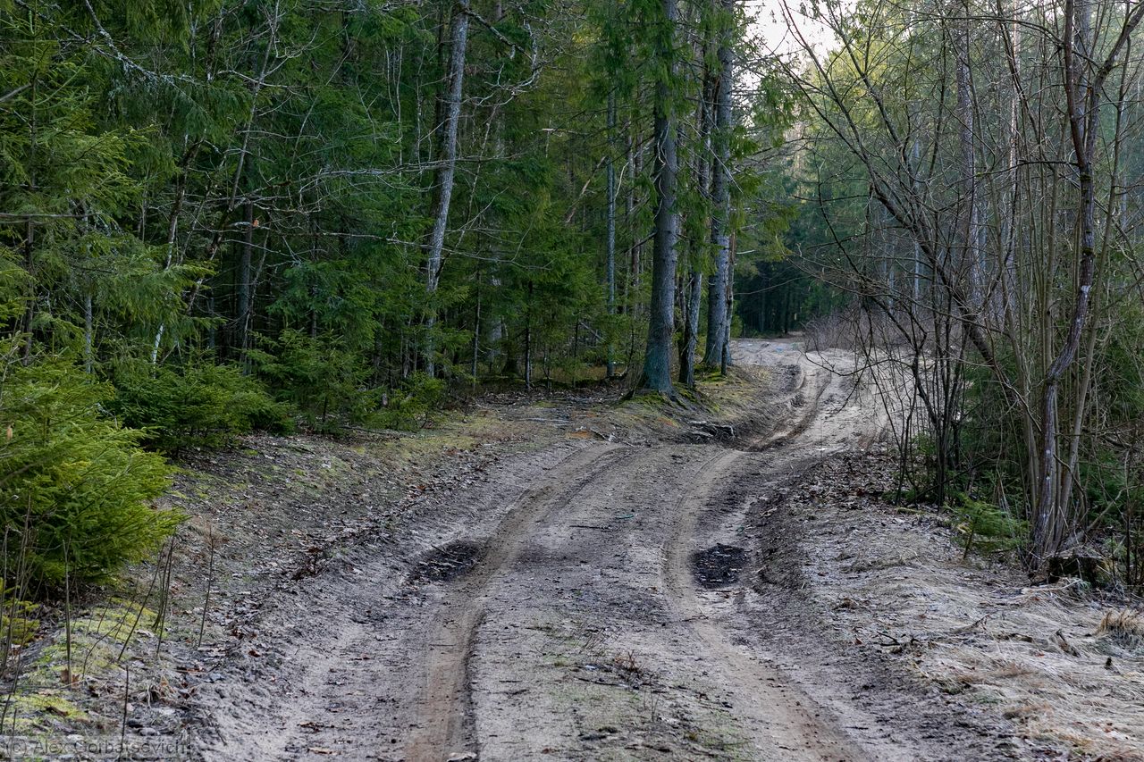 � ��� � ���� ���