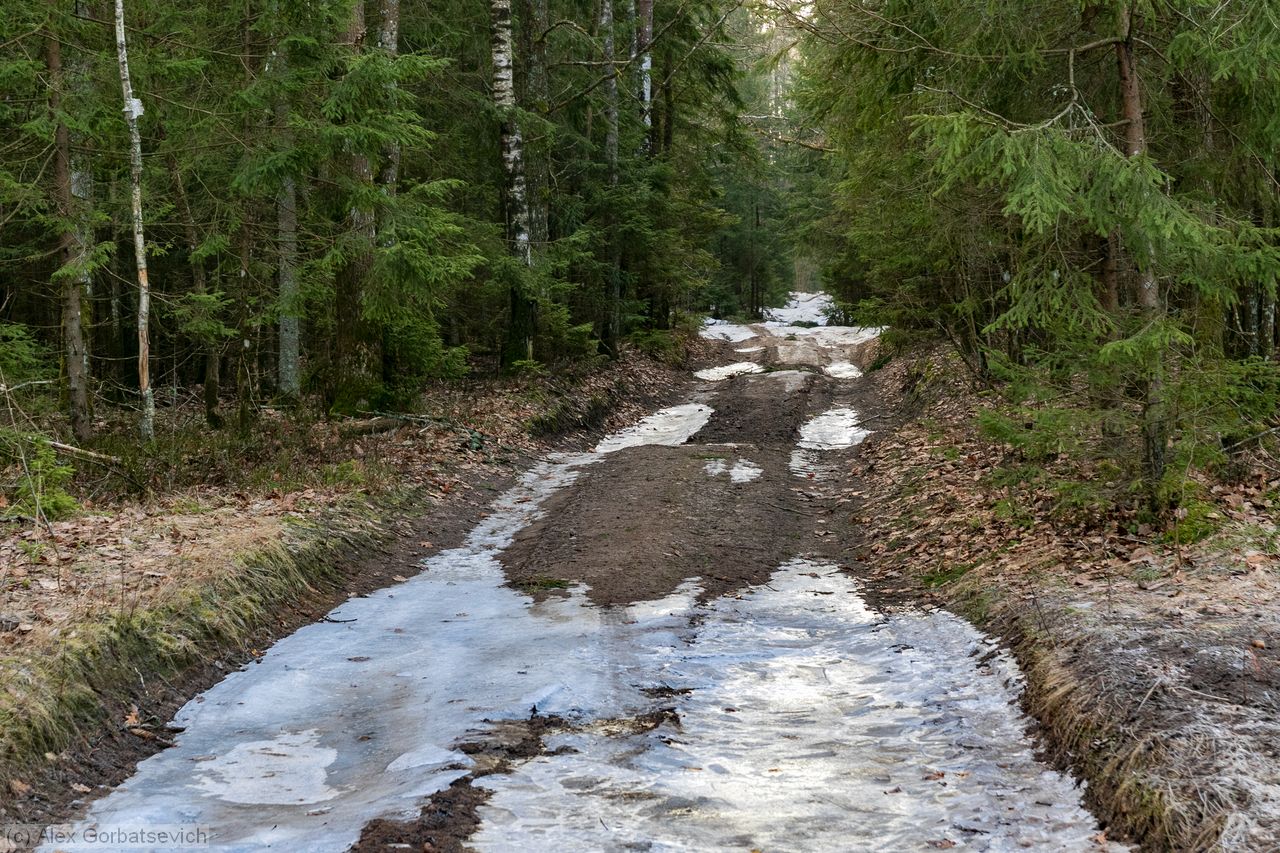 ��������� ������