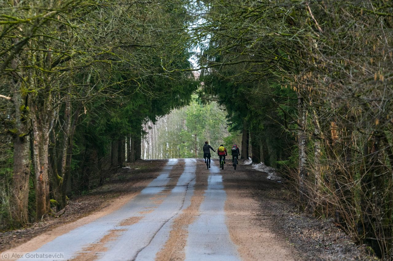 � �������