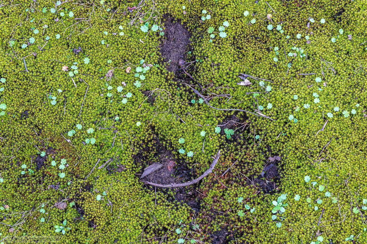 ���� � �������