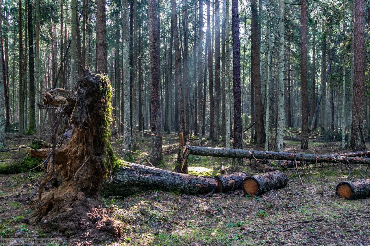 ����� ����� � ������ �������