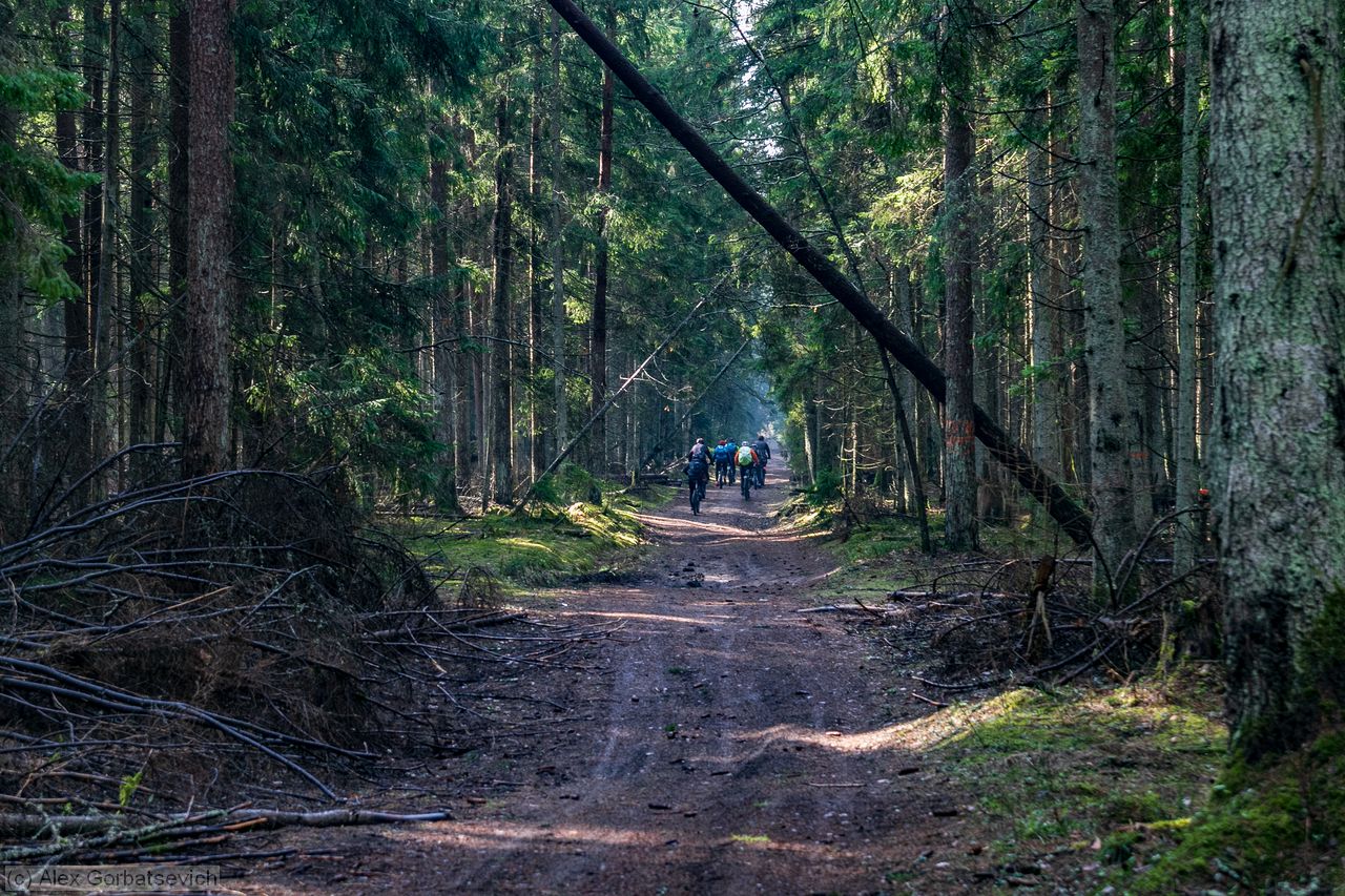 �� �������