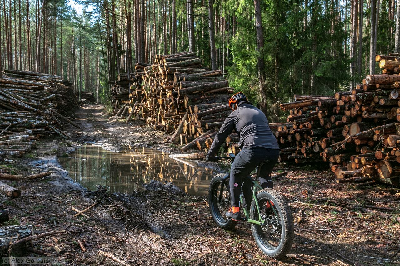 ����� ������