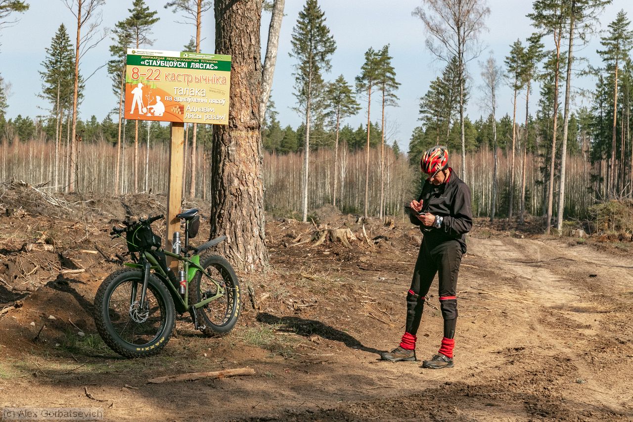 � ������� ����