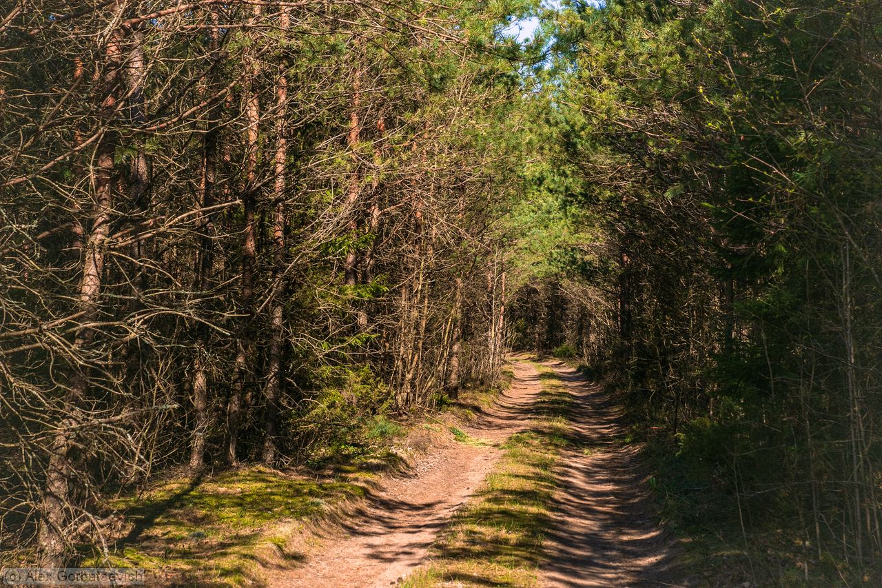 ������ �������