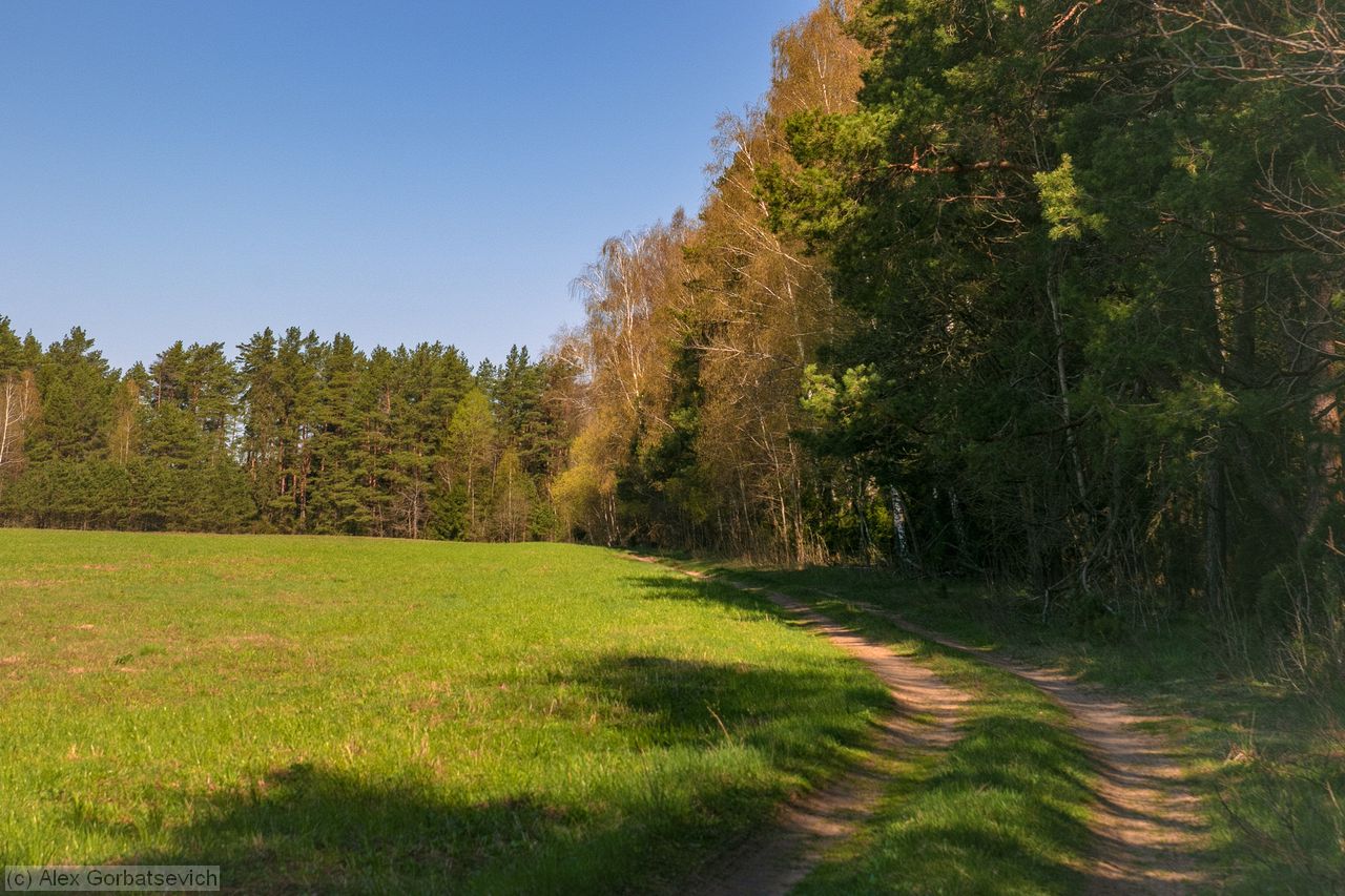 �������� ������