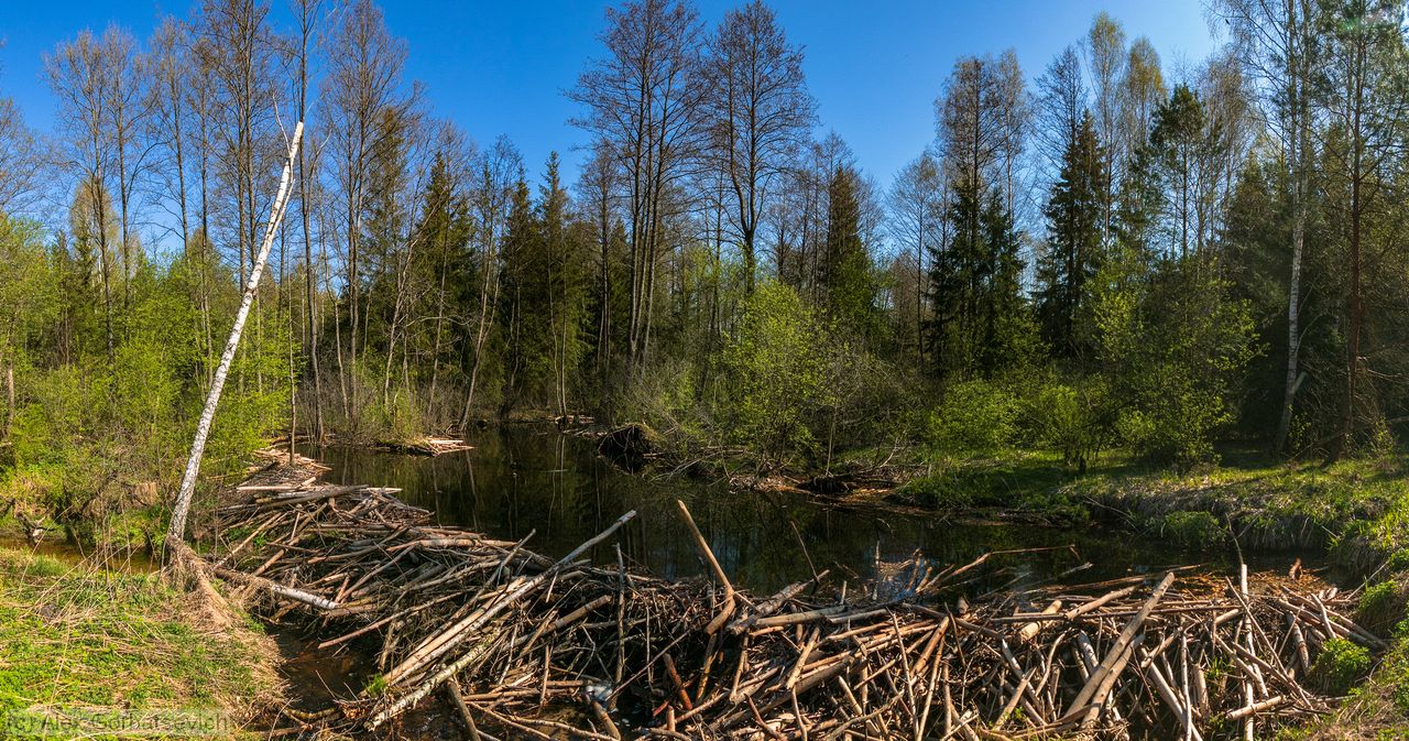 �������� �������