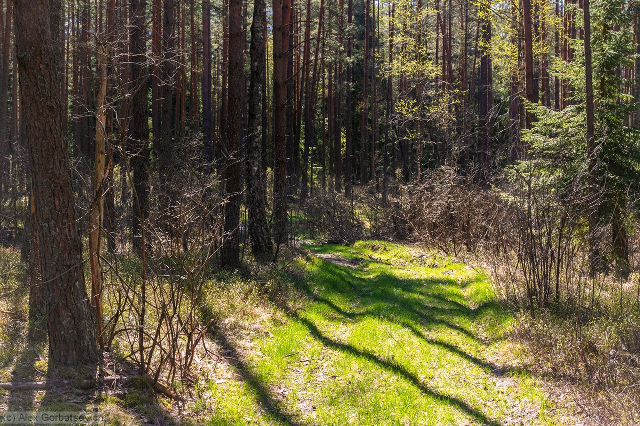 ���������� �������