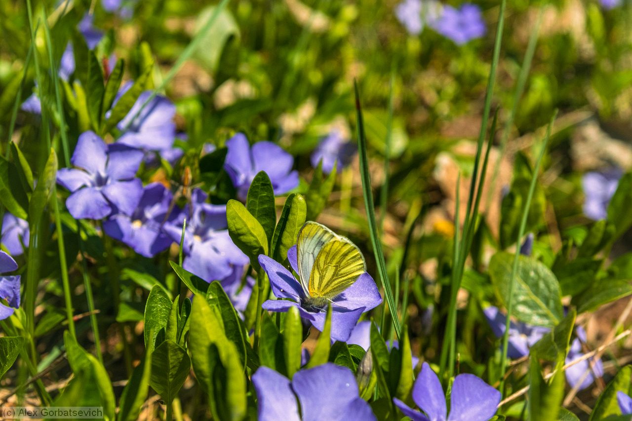 ����������