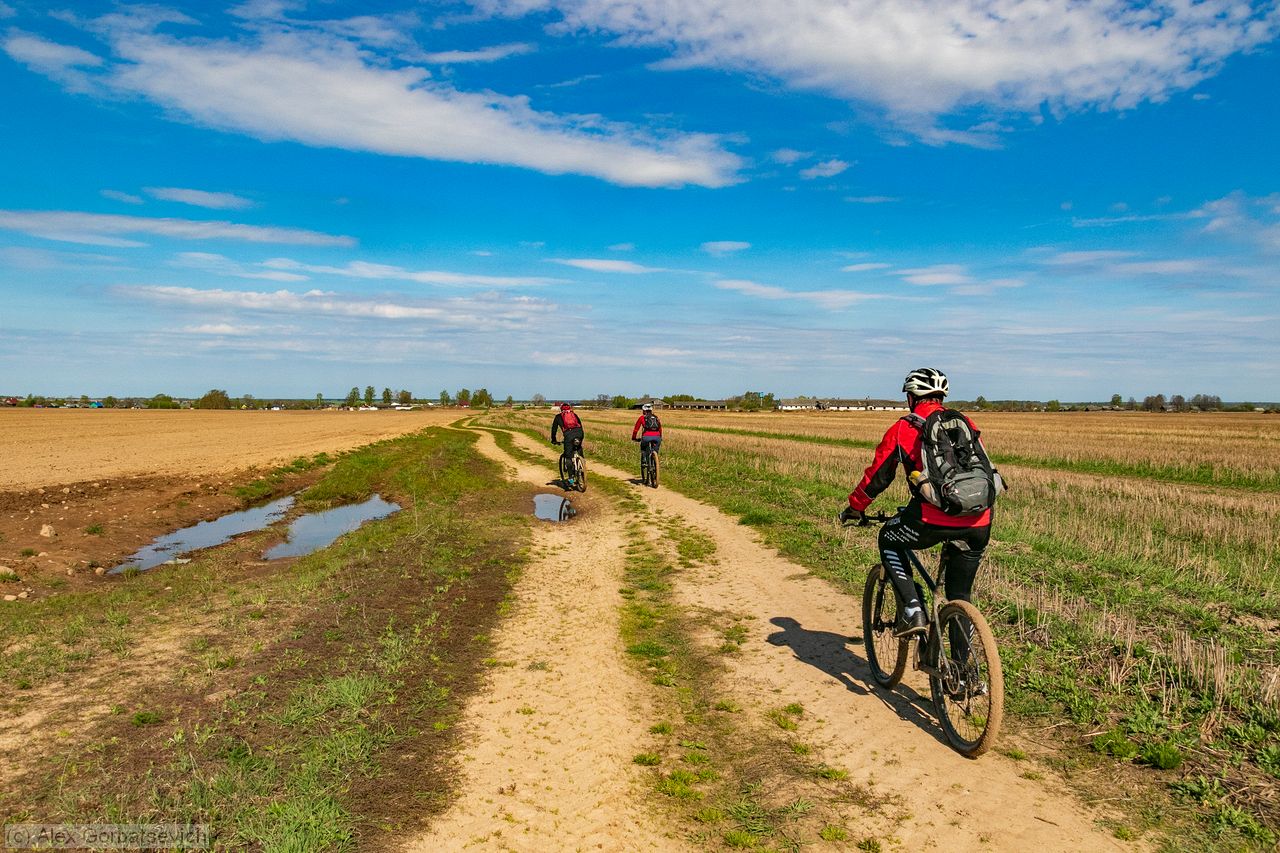 �� ������