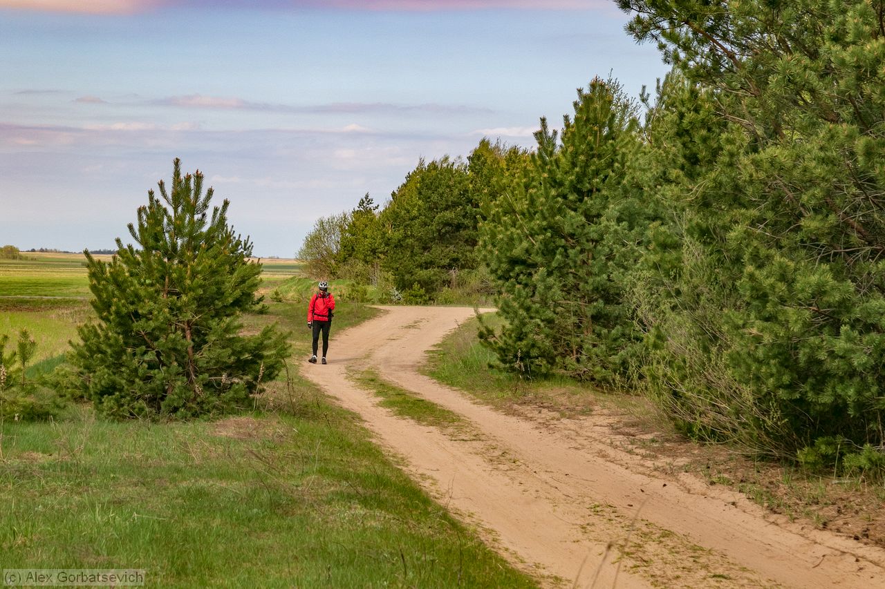 �� �������