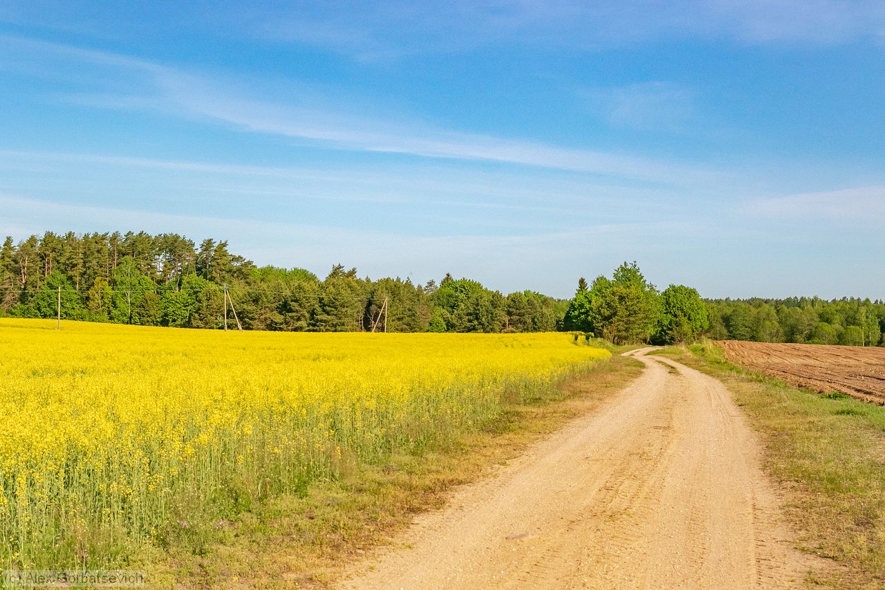 ����� ��������� ����