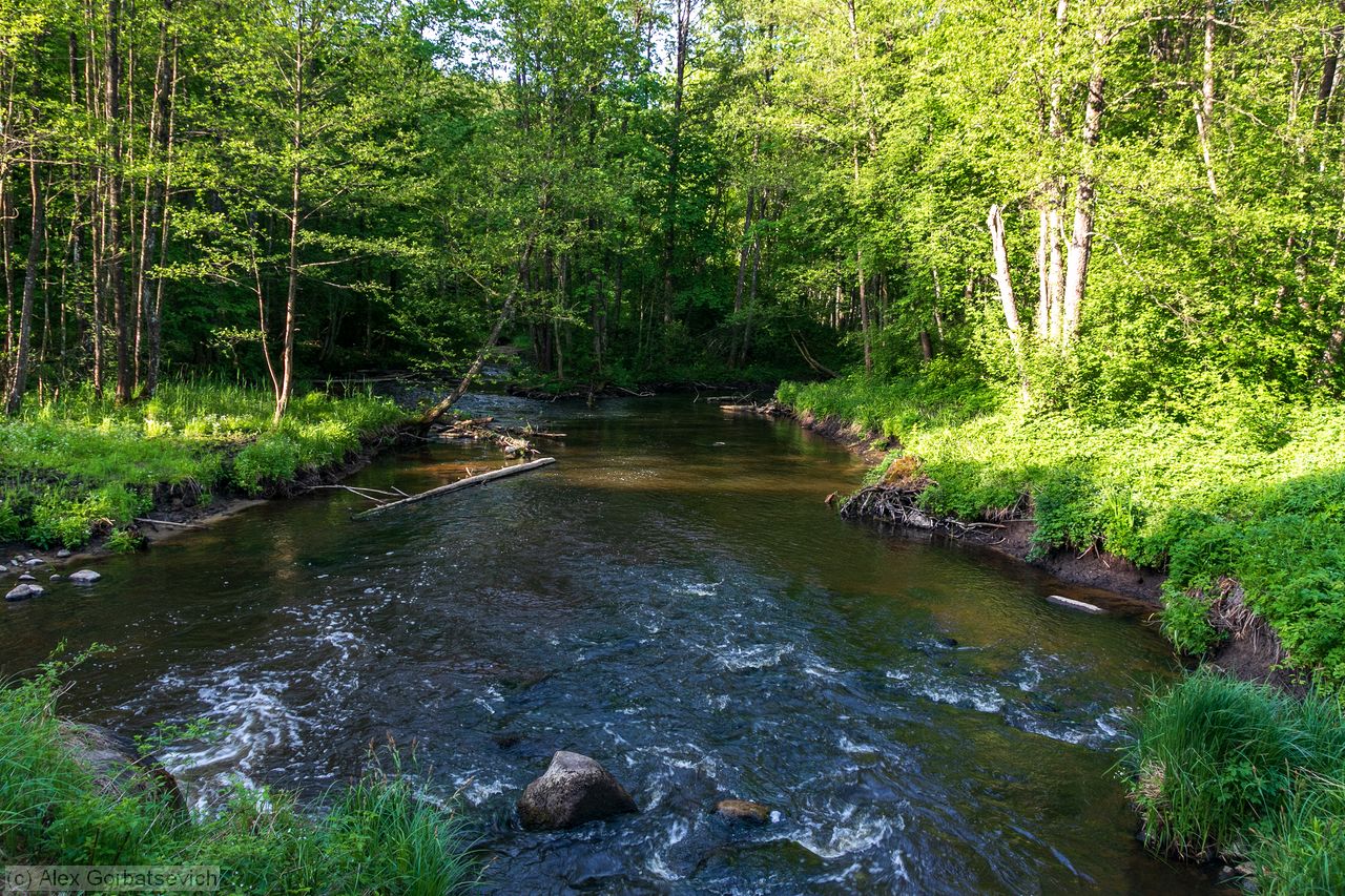 �. ������� �������