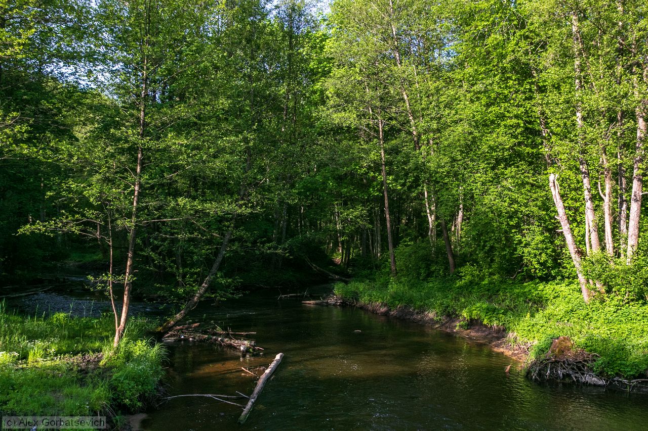 �. ������� �������