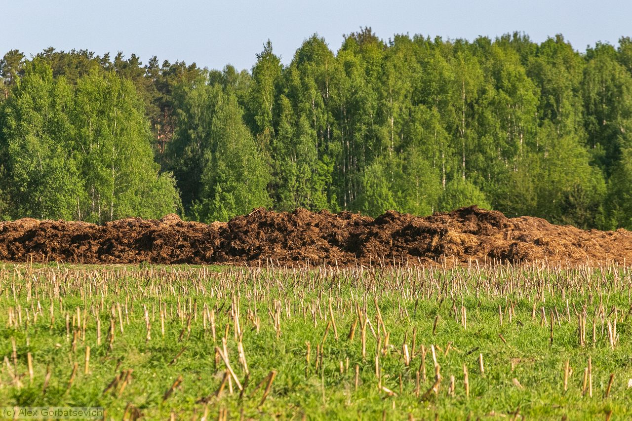 ���. ���� ����� ���!