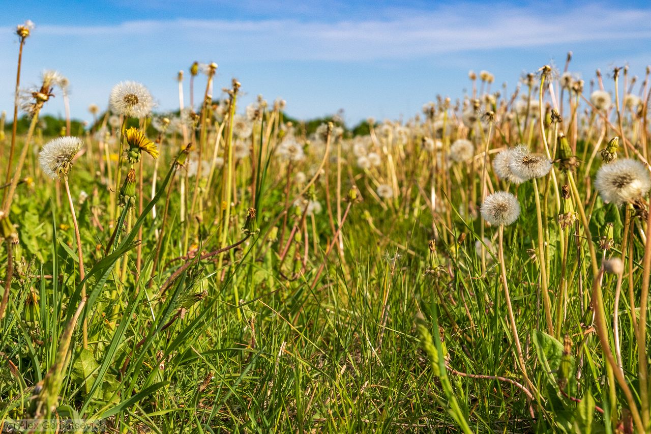 ������ � �����������