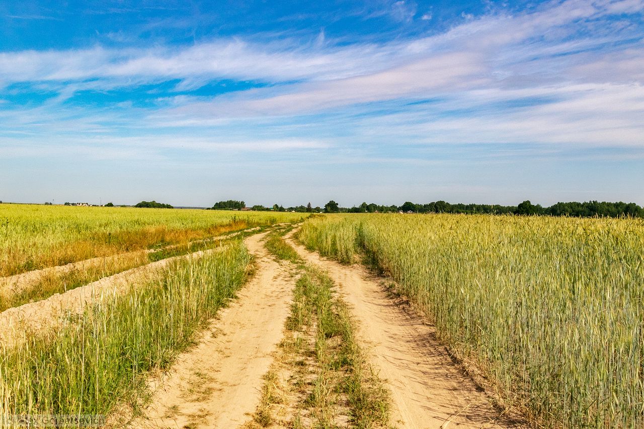 ������� �������