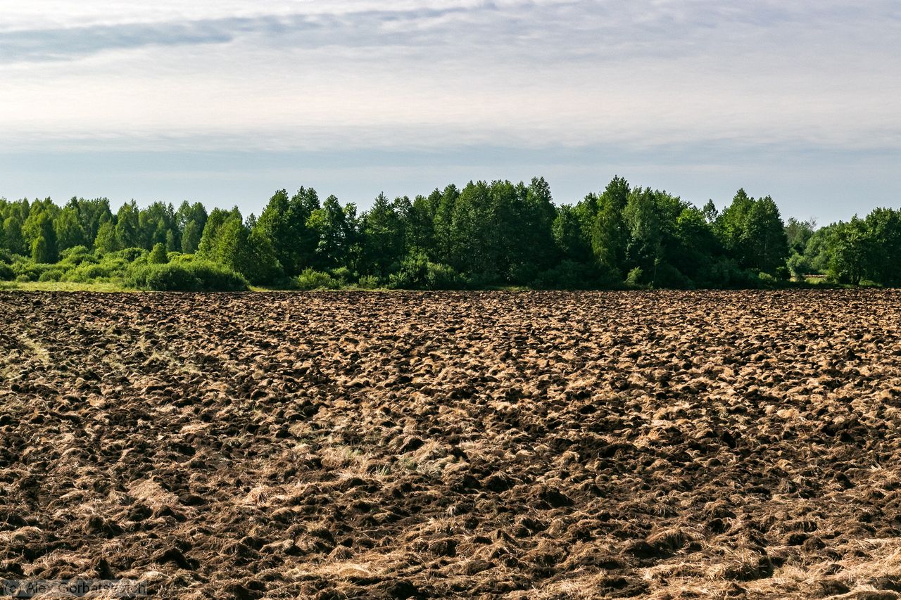 ���� ������������