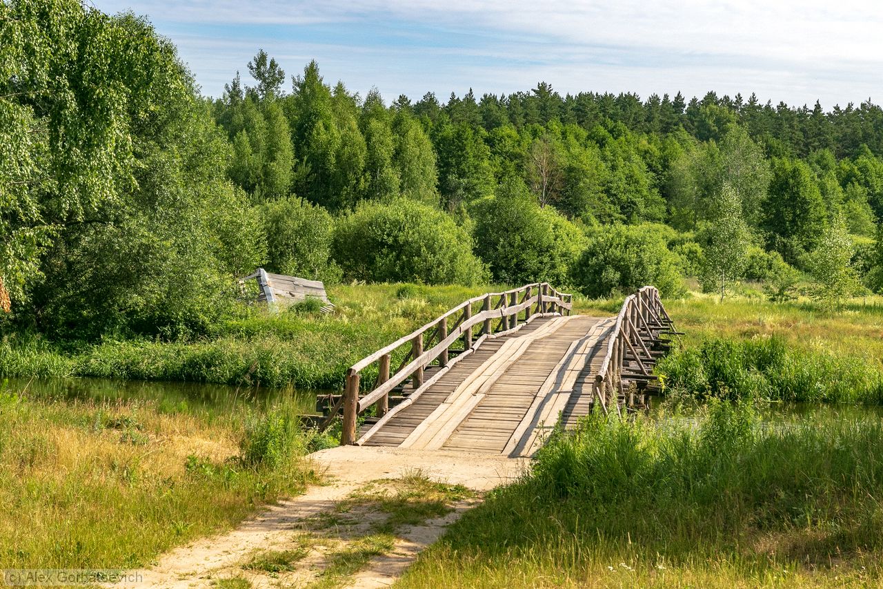 ���� ���������� ����� �. ��������