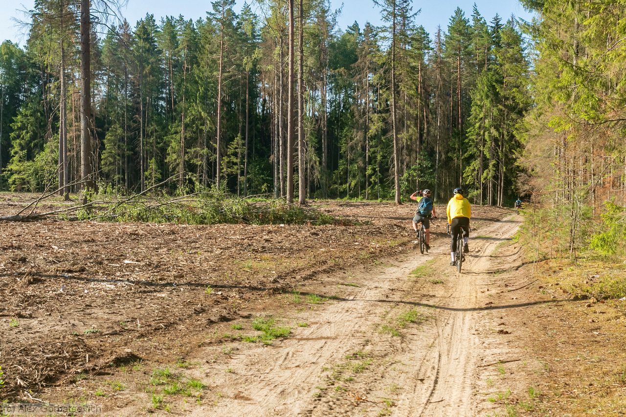 �� �������