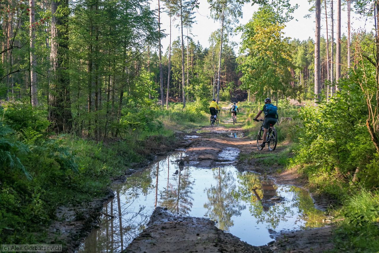 ���� ���