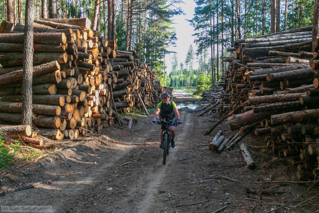 ����� �����