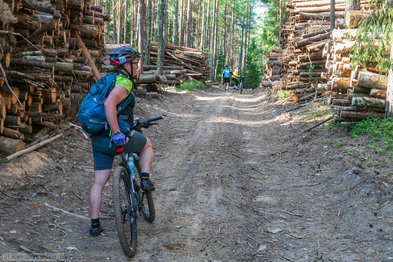 ������� ����