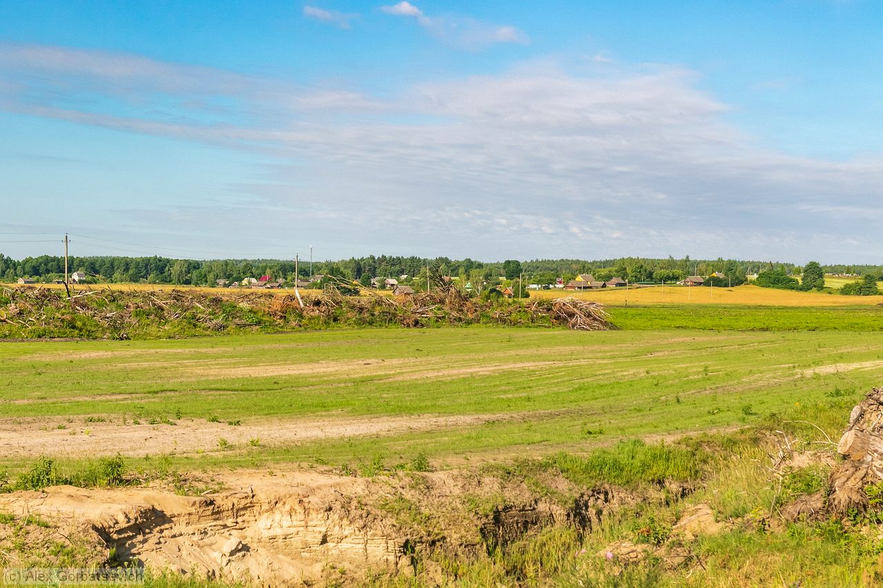 ���� ���������