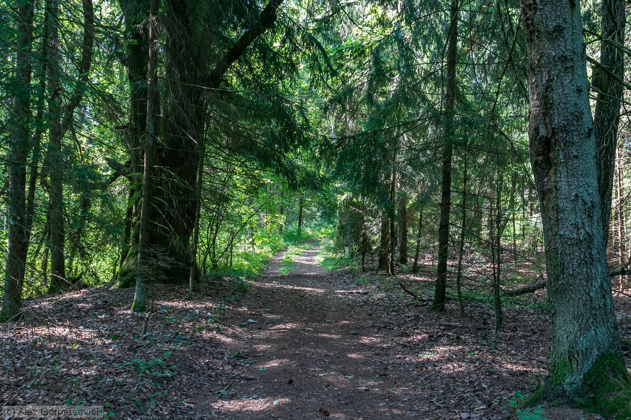 ������ �������