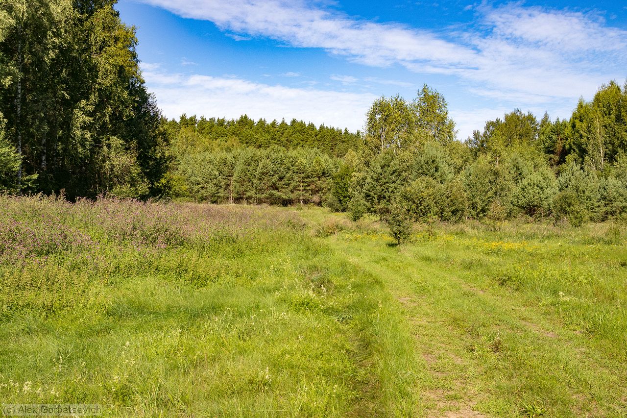 ������ �� �����