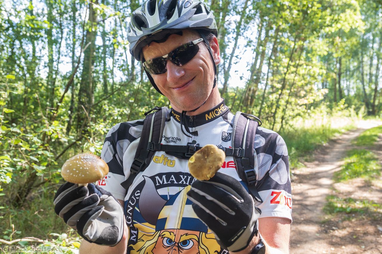 ���� ������