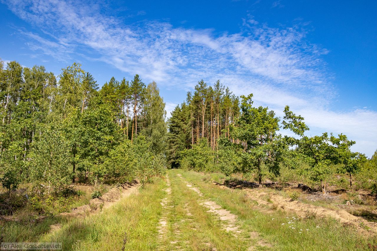 ������ ������