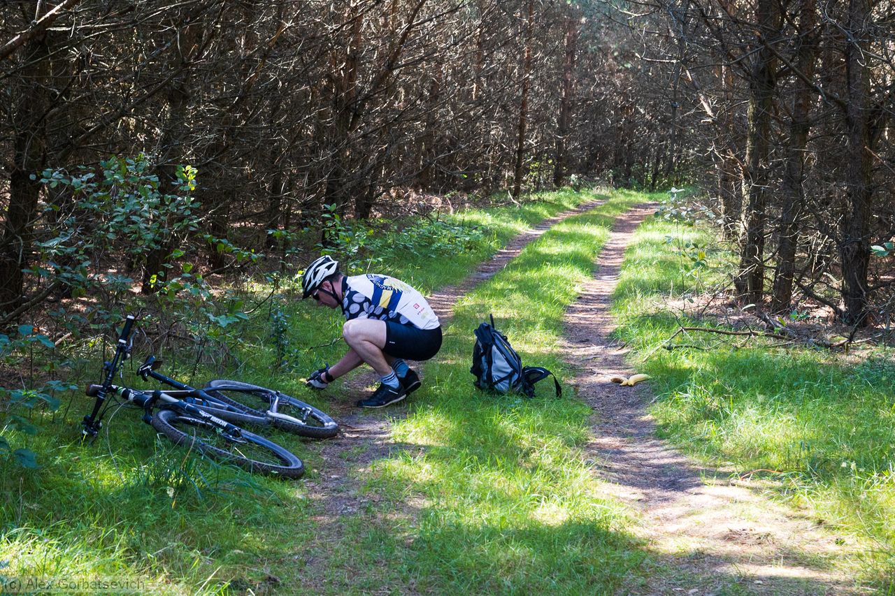 ���� ������