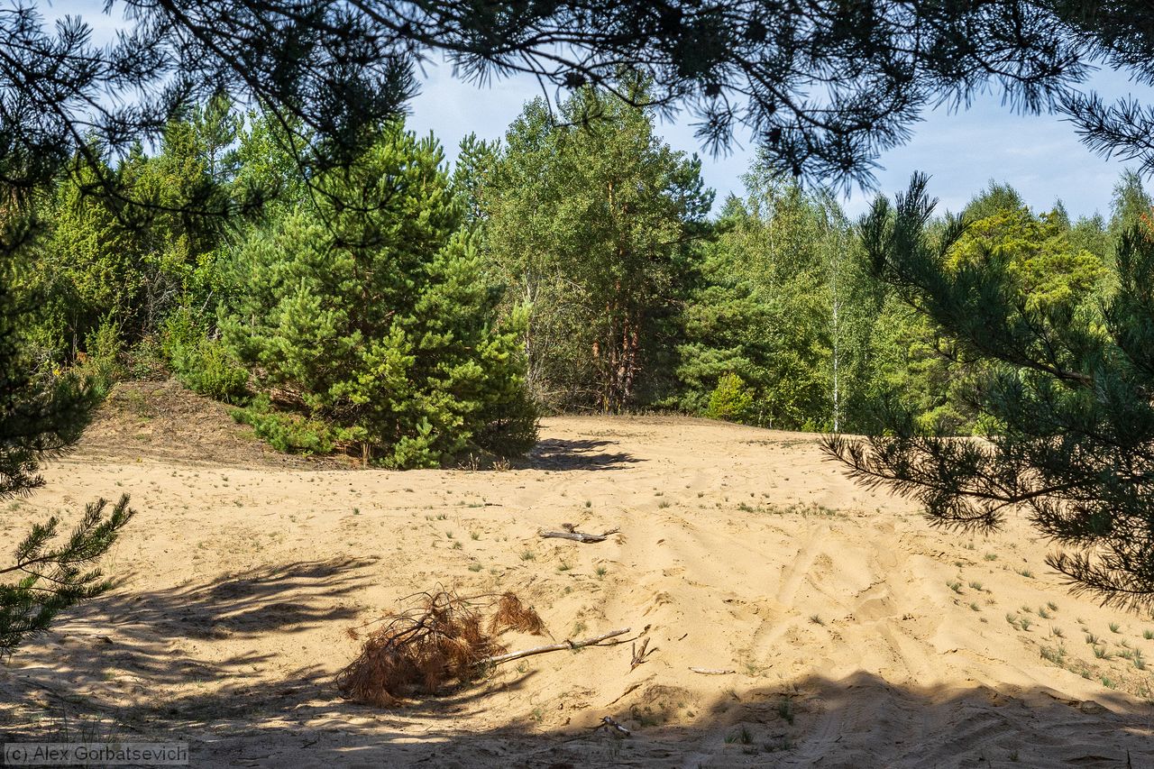�������� �������