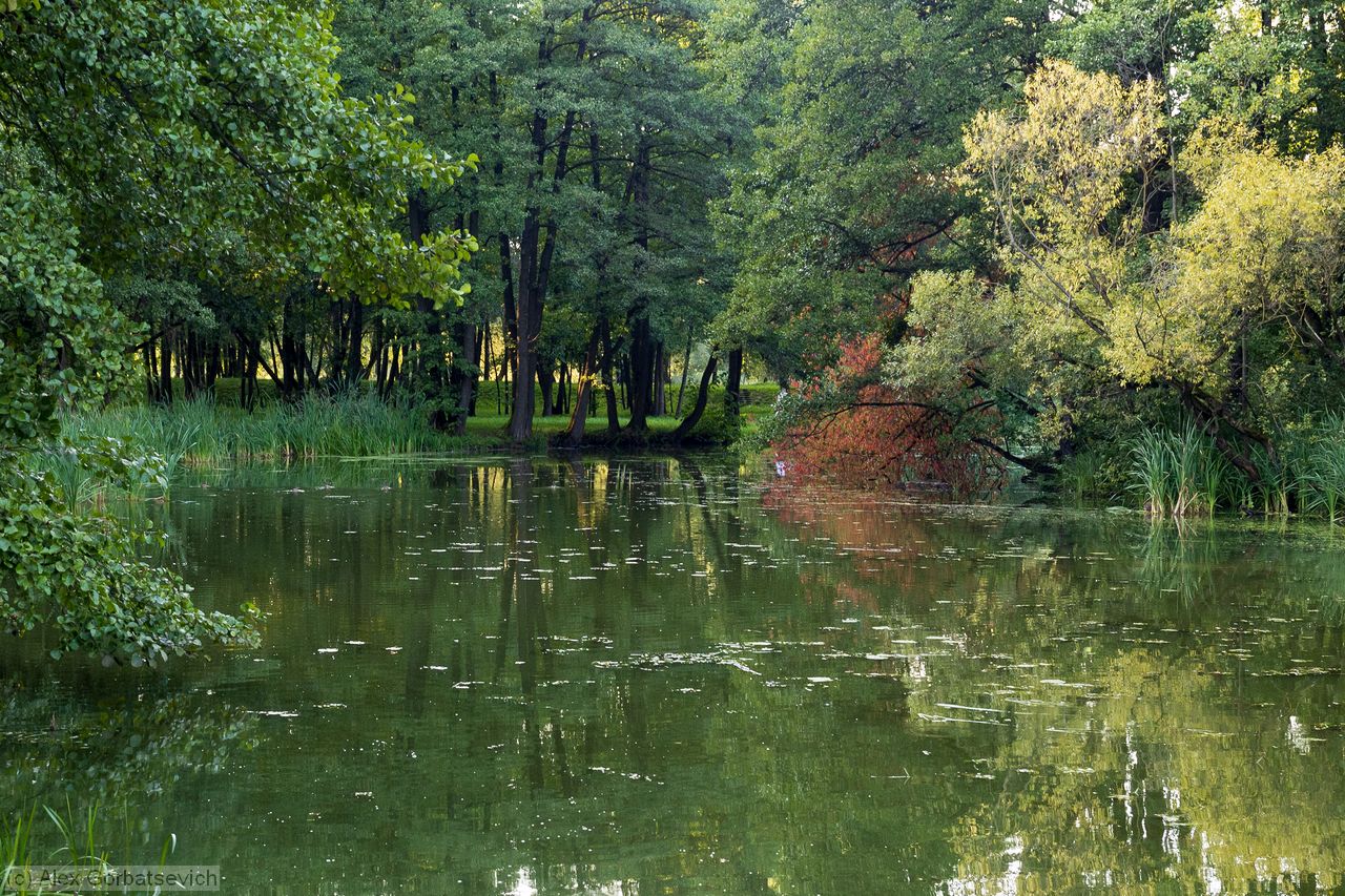 �������