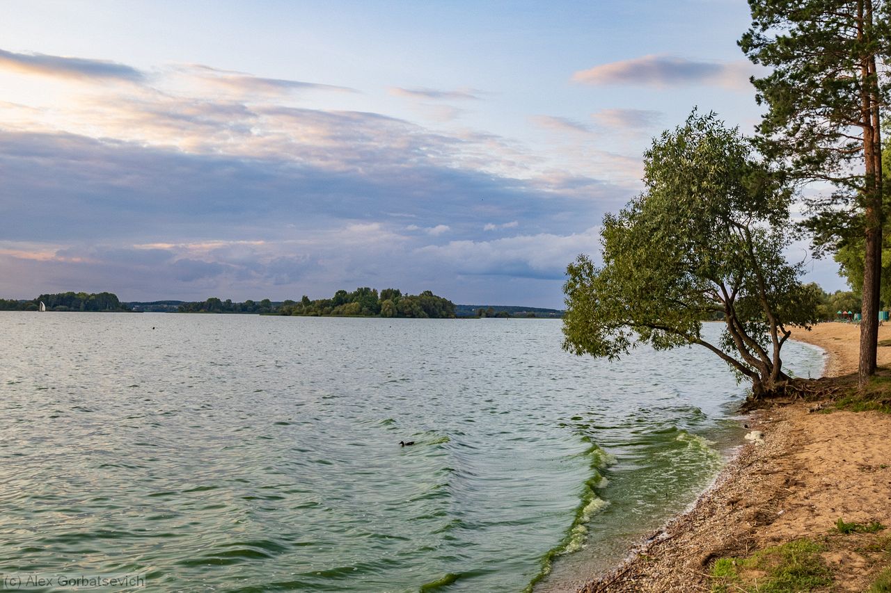 �� ������