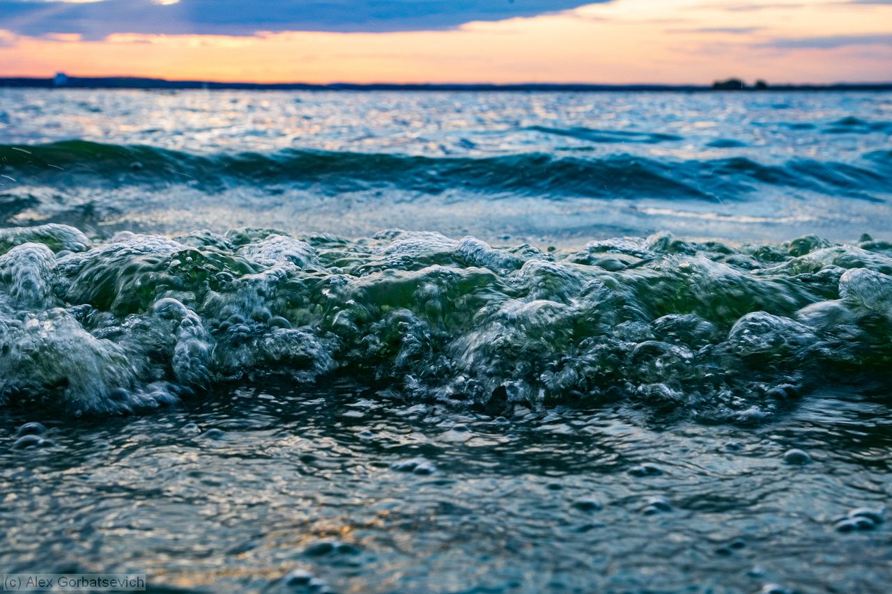 ������ ����