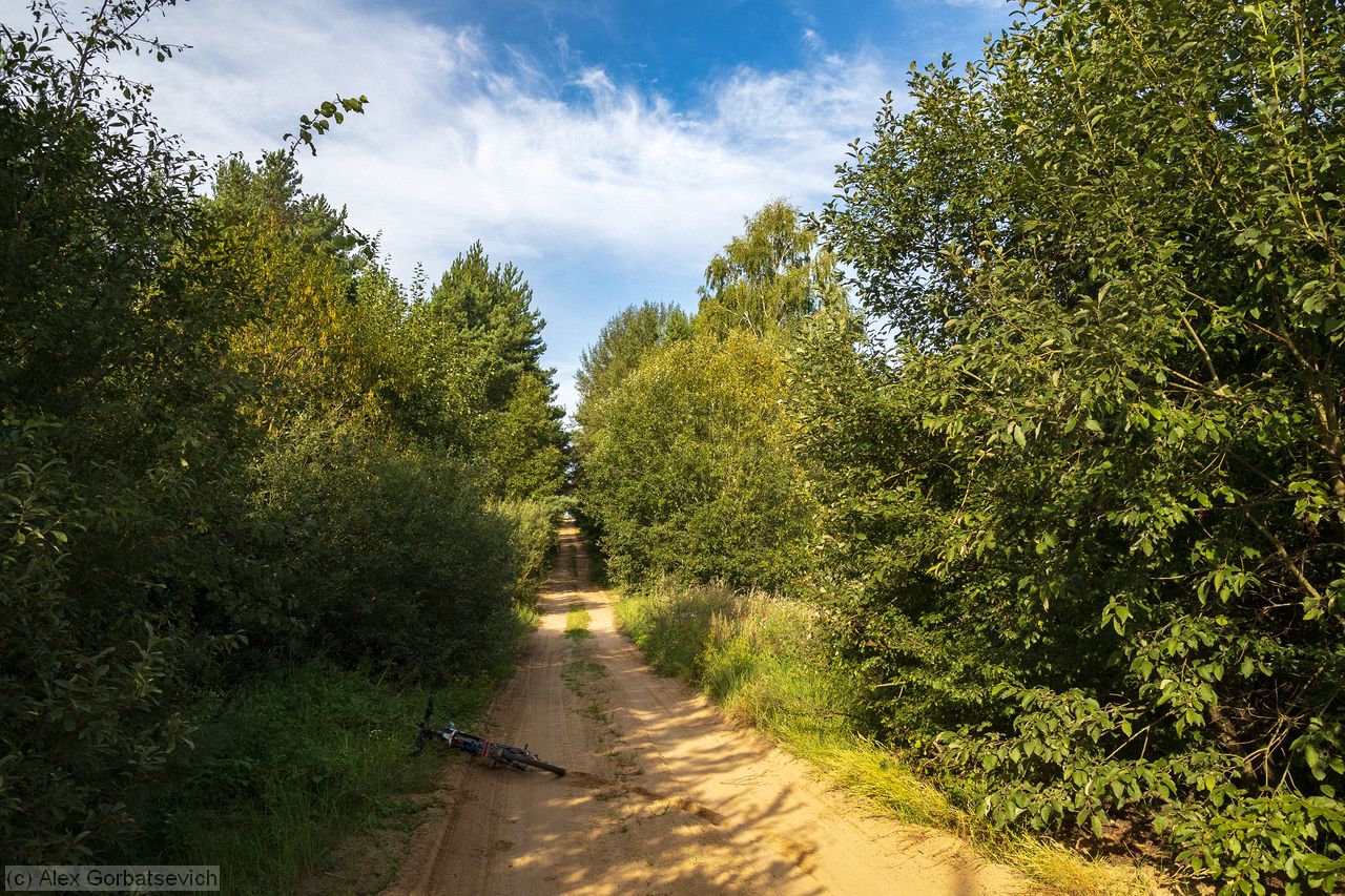 � ��������