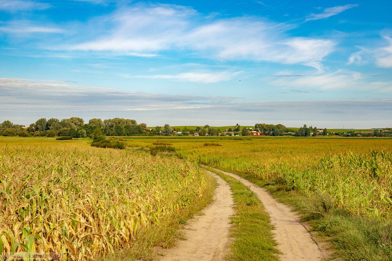 ������� ������