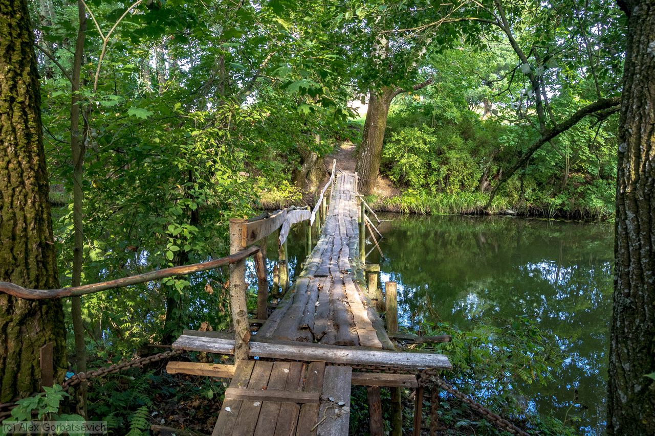 ���� �������������